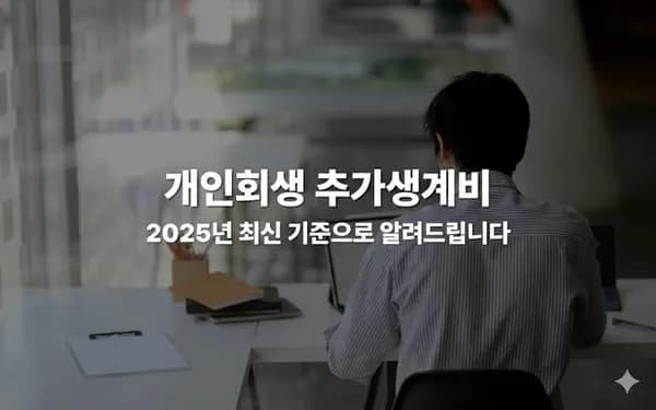 2025년 개인회생 추가생계비, 변제금을 줄이는 방법